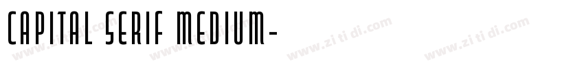capital serif medium字体转换
